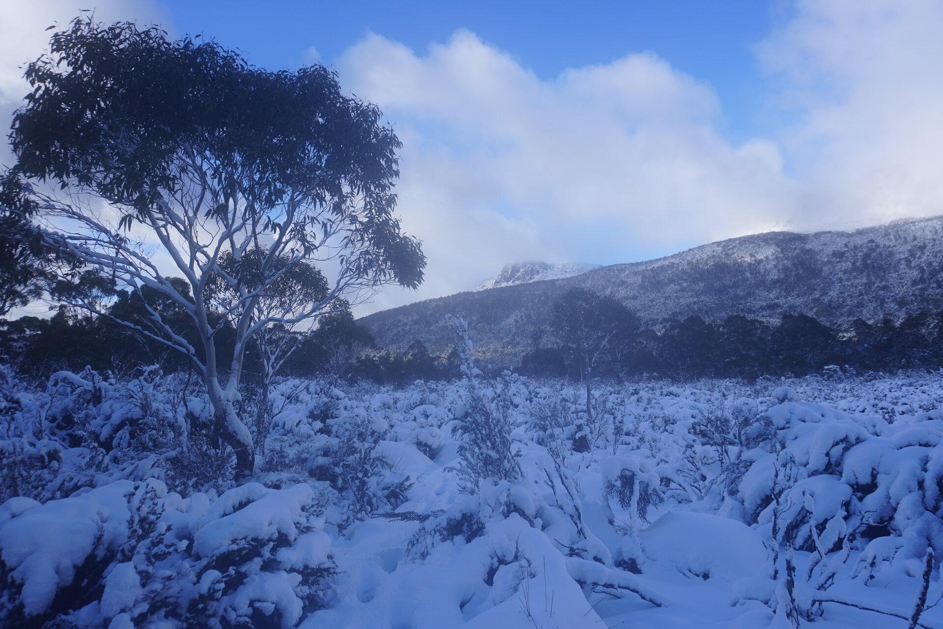 Landscape near Narcisuss 1